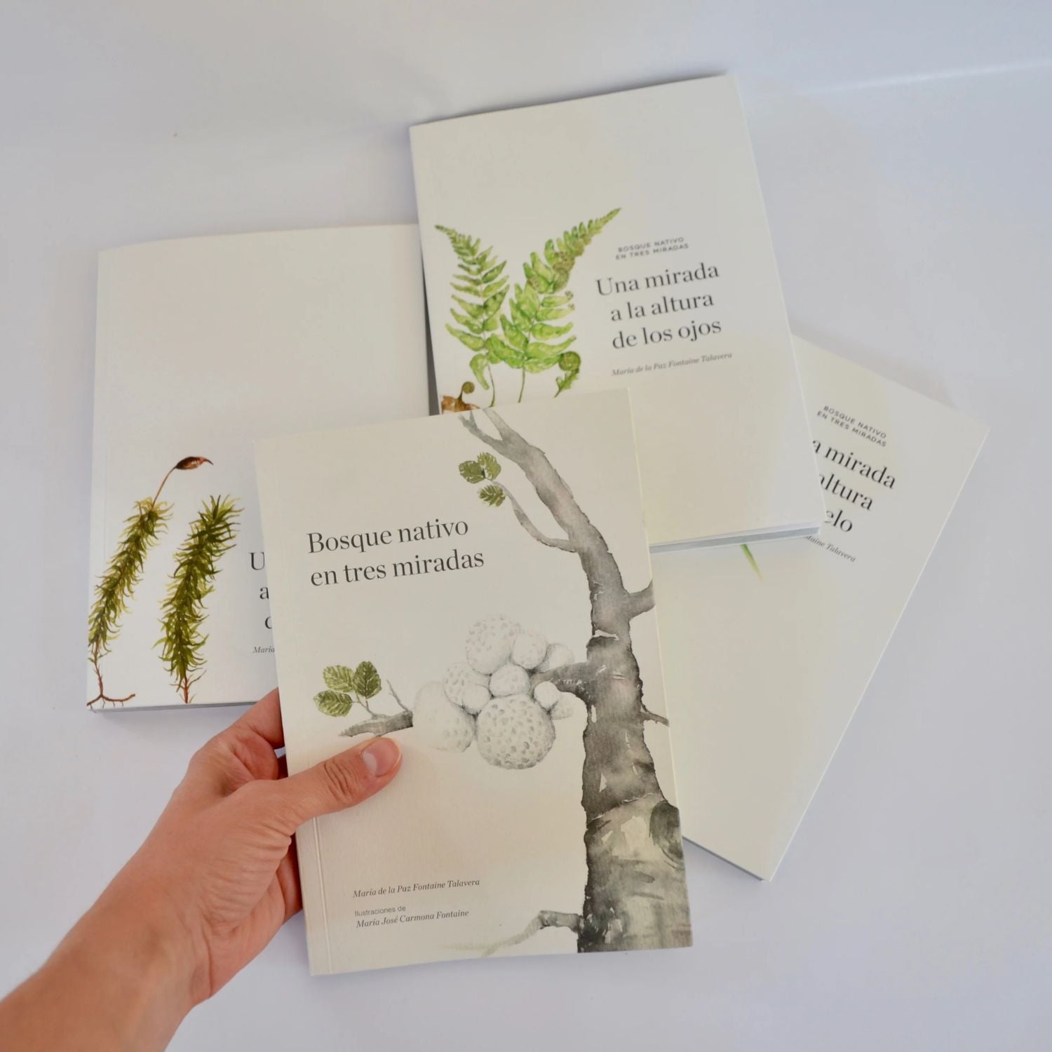 Bosque Nativo en Tres Miradas (set 4 libros)