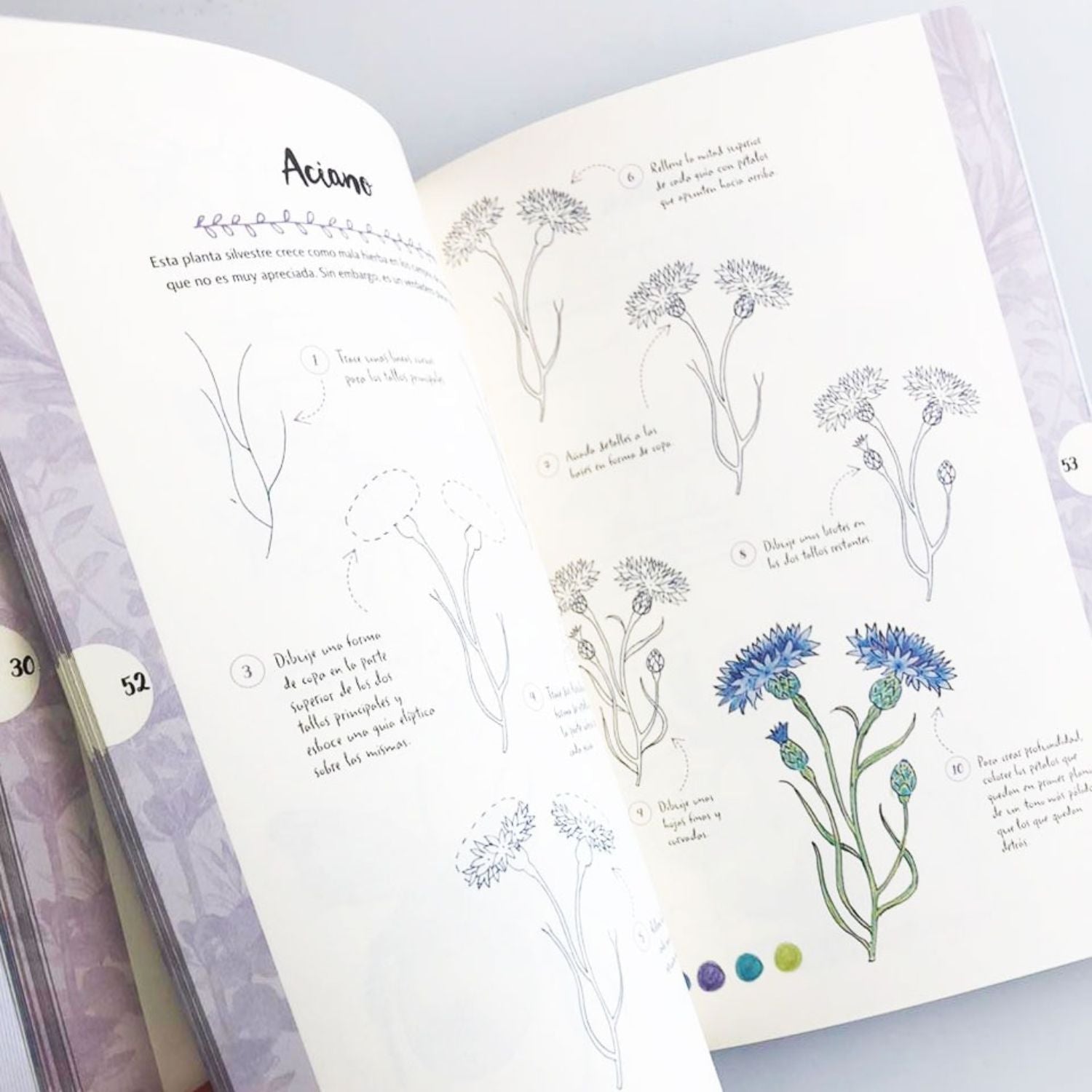 Dibujar en 10 pasos animales y plantas