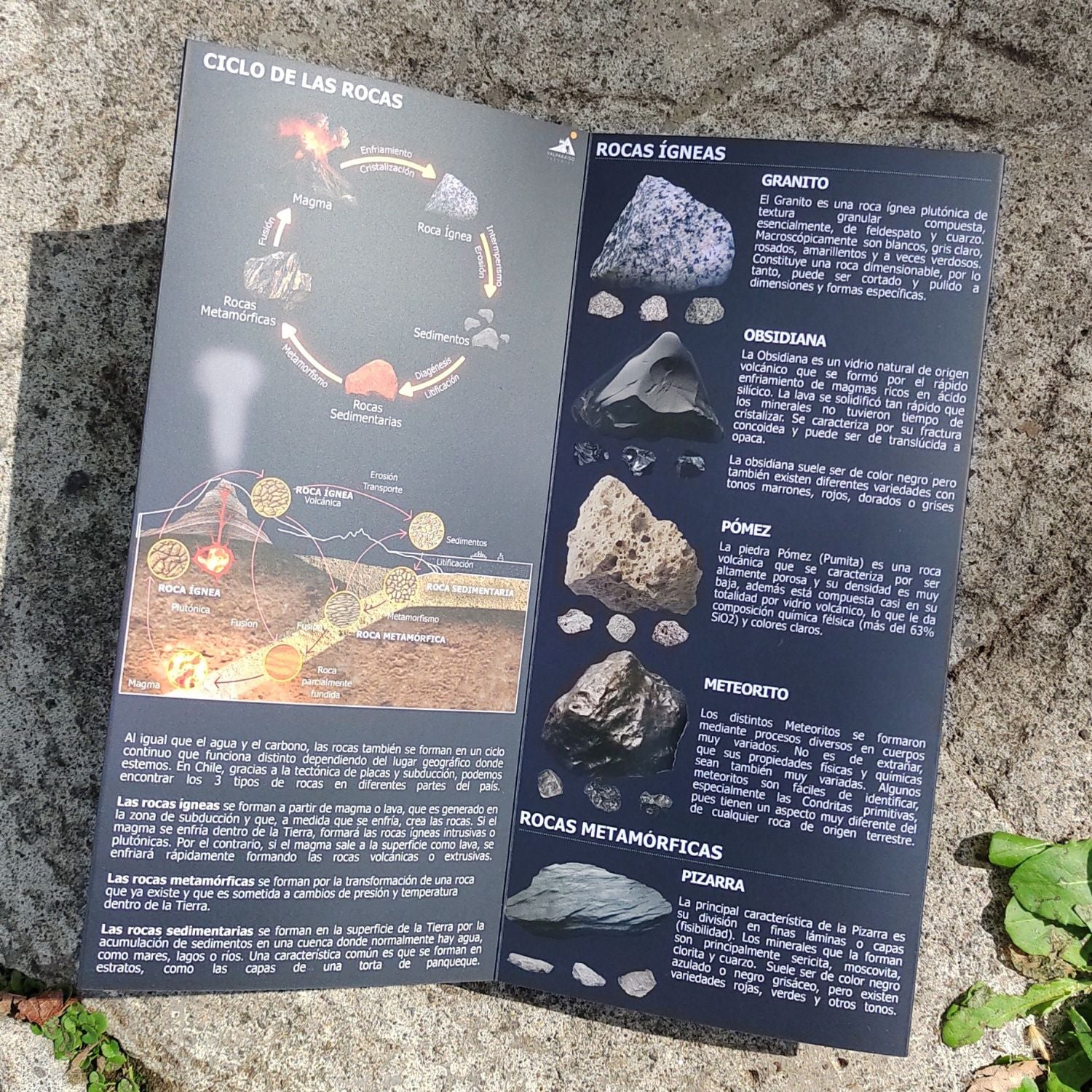 Guía de Bolsillo - Rocas y Minerales