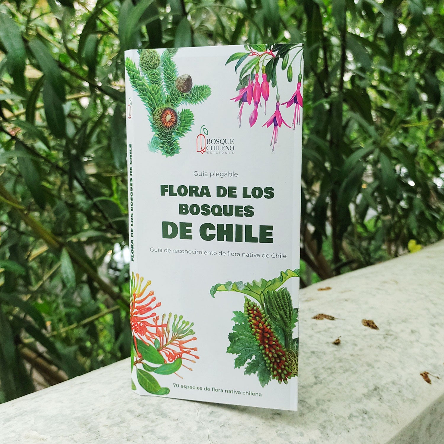 Guía de bolsillo - Flora de los bosques de Chile