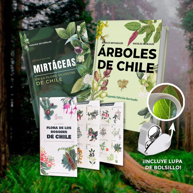 Pack Observando el bosque chileno