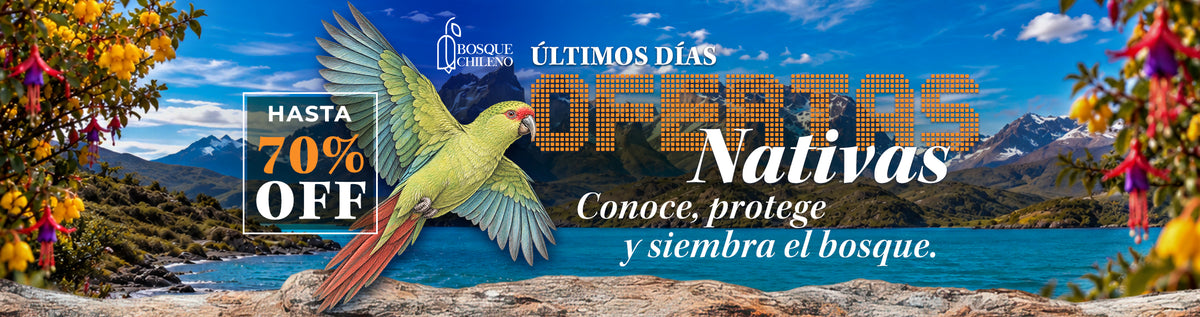 Ofertas Nativas Bosque Chileno: hasta 70% OFF desde el 5 de octubre