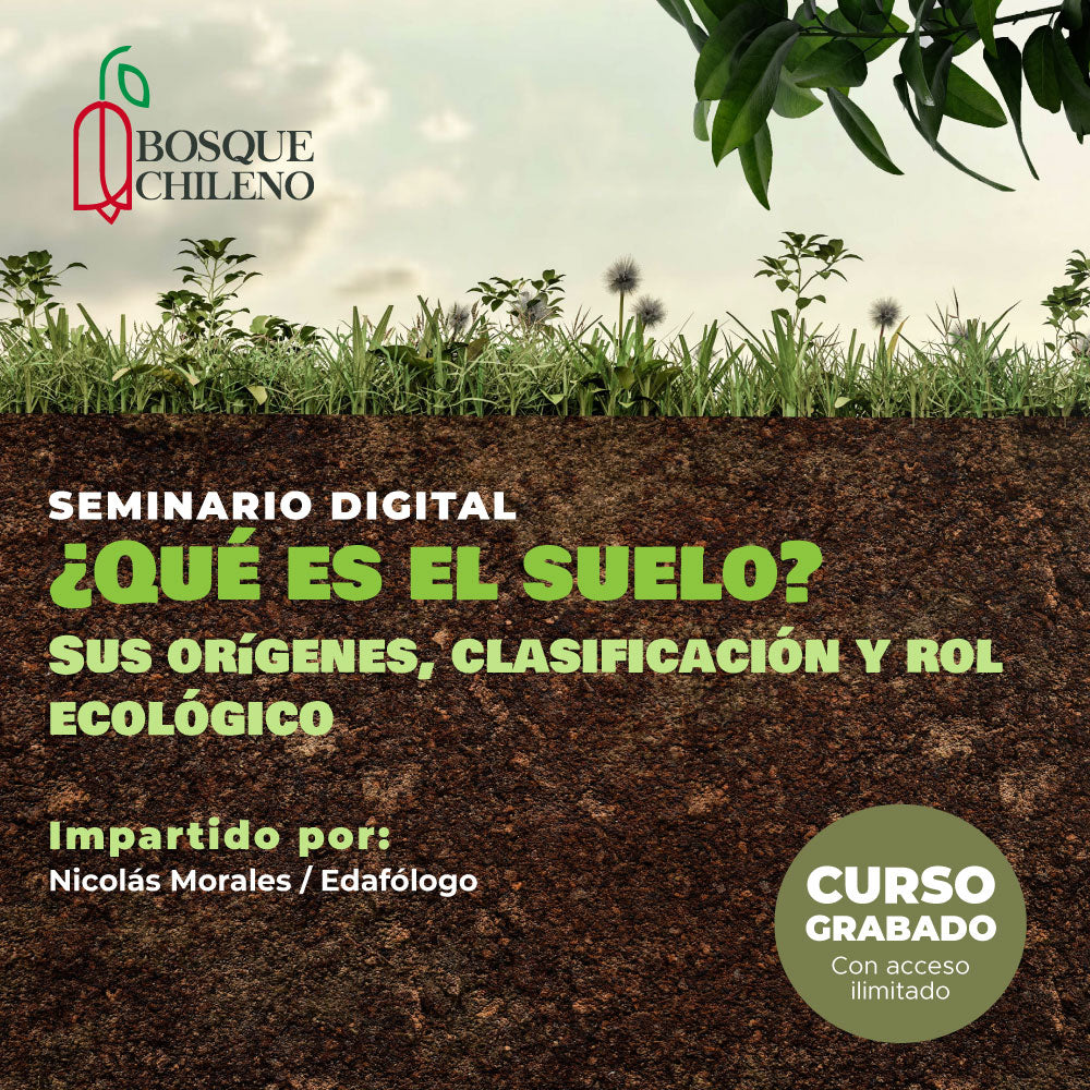 Curso digital: ¿Qué es el suelo? sus orígenes, clasificación y rol ecológico