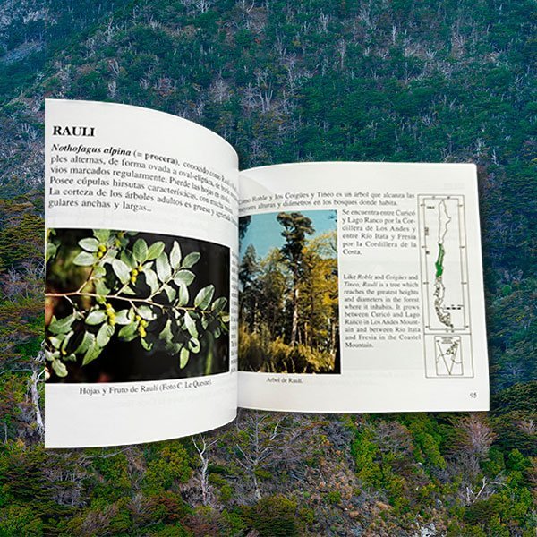 Árboles Nativos de Chile
