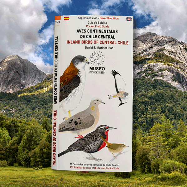 Guía de Bolsillo - Aves continentales de Chile central