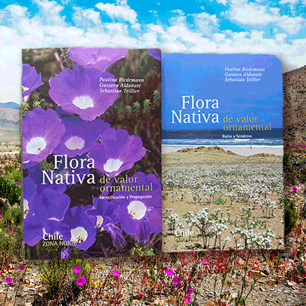 Flora Nativa de Valor Ornamental Zona Norte Segunda Edición