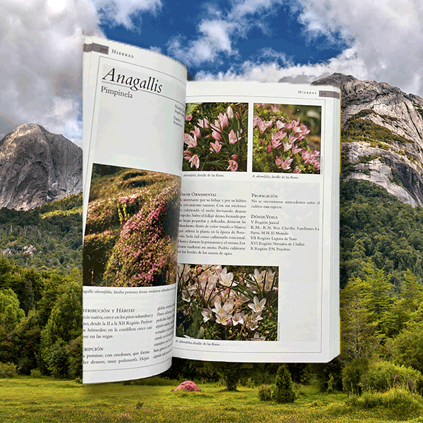 Flora Nativa de Valor Ornamental Zona Cordillera Segunda Edición