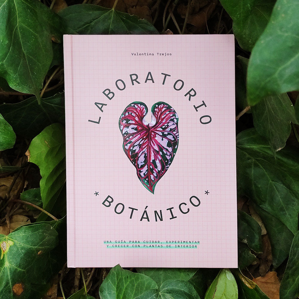 Laboratorio botánico Bosquechileno