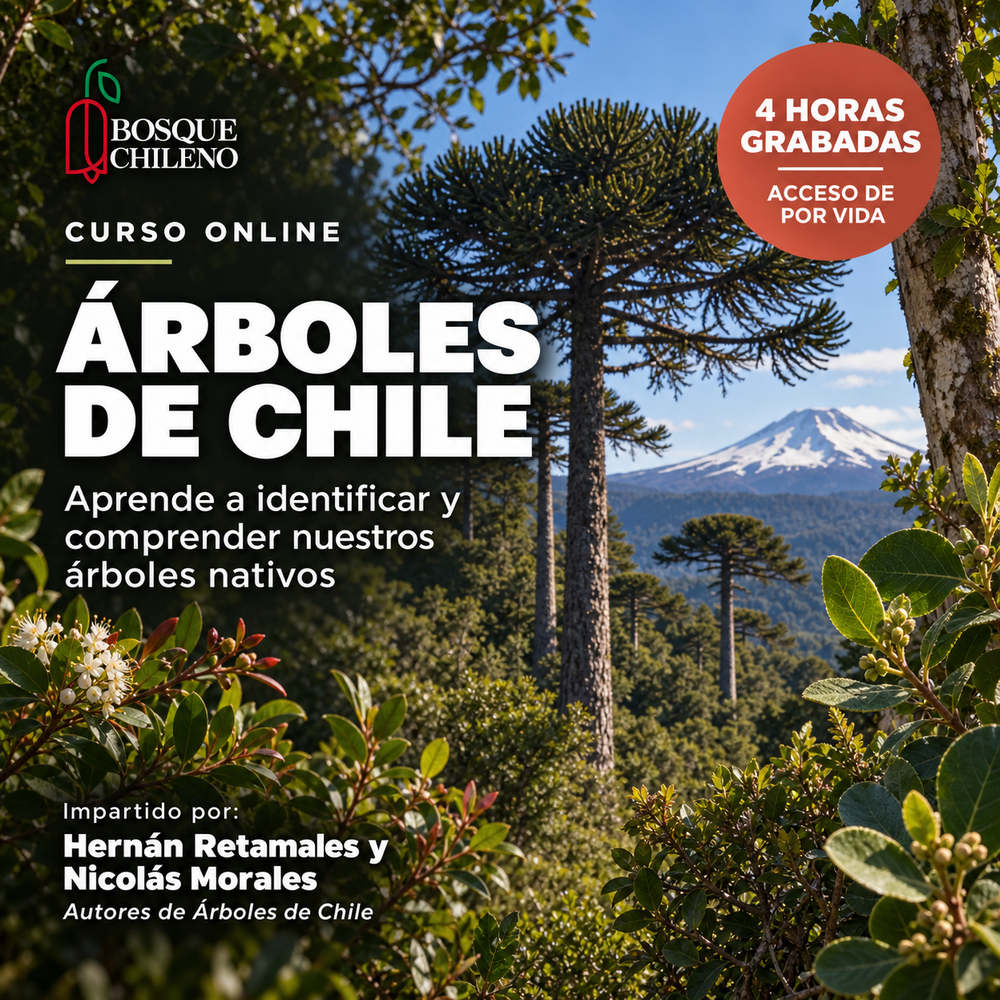 Curso digital: Árboles de Chile