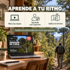Curso digital: Árboles de Chile