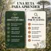Curso digital: Árboles de Chile