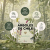 Libro Árboles de Chile - Segunda edición (Tapa dura)