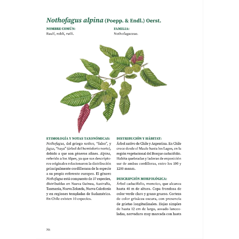 Árboles de Chile - Segunda edición (Tapa dura)