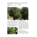 Libro Árboles de Chile - Segunda edición (Tapa dura)