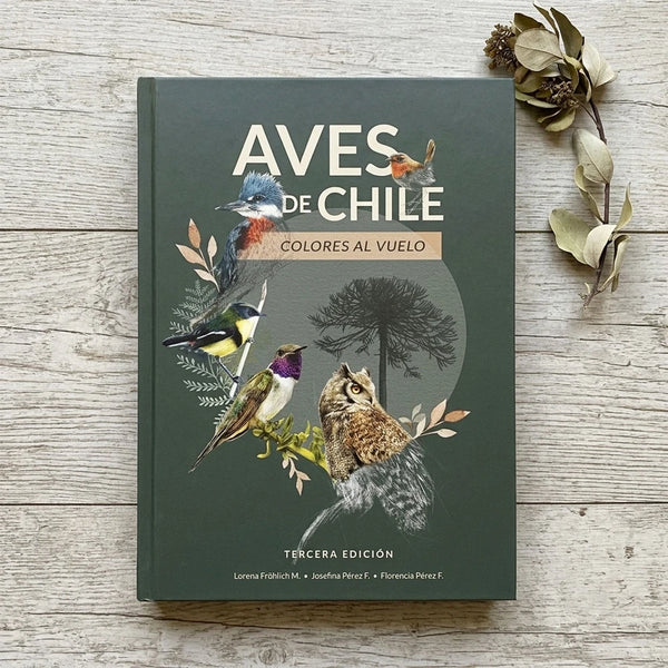 Aves de Chile: Colores al vuelo