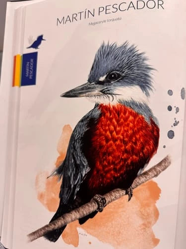 Review Card