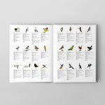 Libro Aves de Chile: Colores al vuelo - Tercera edición