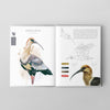 Libro Aves de Chile: Colores al vuelo - Tercera edición