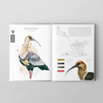 Libro Aves de Chile: Colores al vuelo - Tercera edición