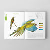 Libro Aves de Chile: Colores al vuelo - Tercera edición