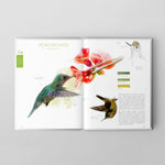 Libro Aves de Chile: Colores al vuelo - Tercera edición