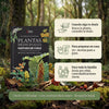Plantas medicinales nativas de Chile