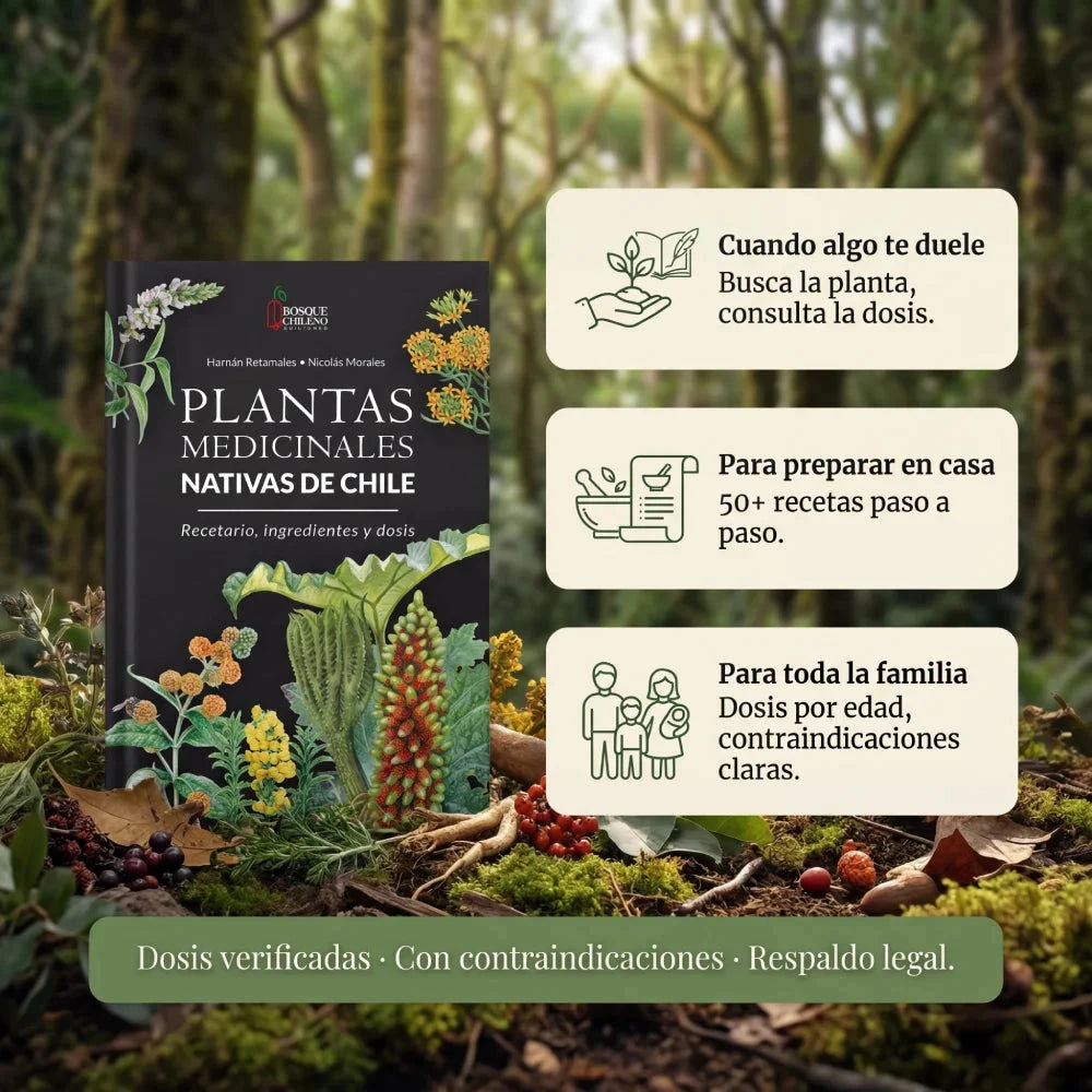 Plantas medicinales nativas de Chile