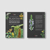Plantas medicinales nativas de Chile