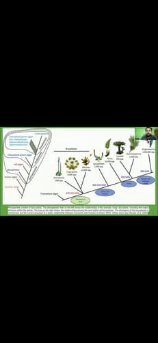 Review Card