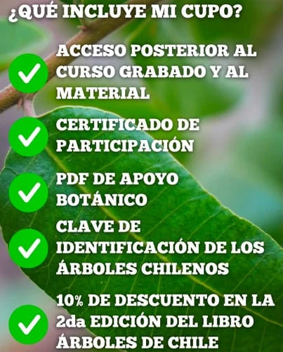 Review Card