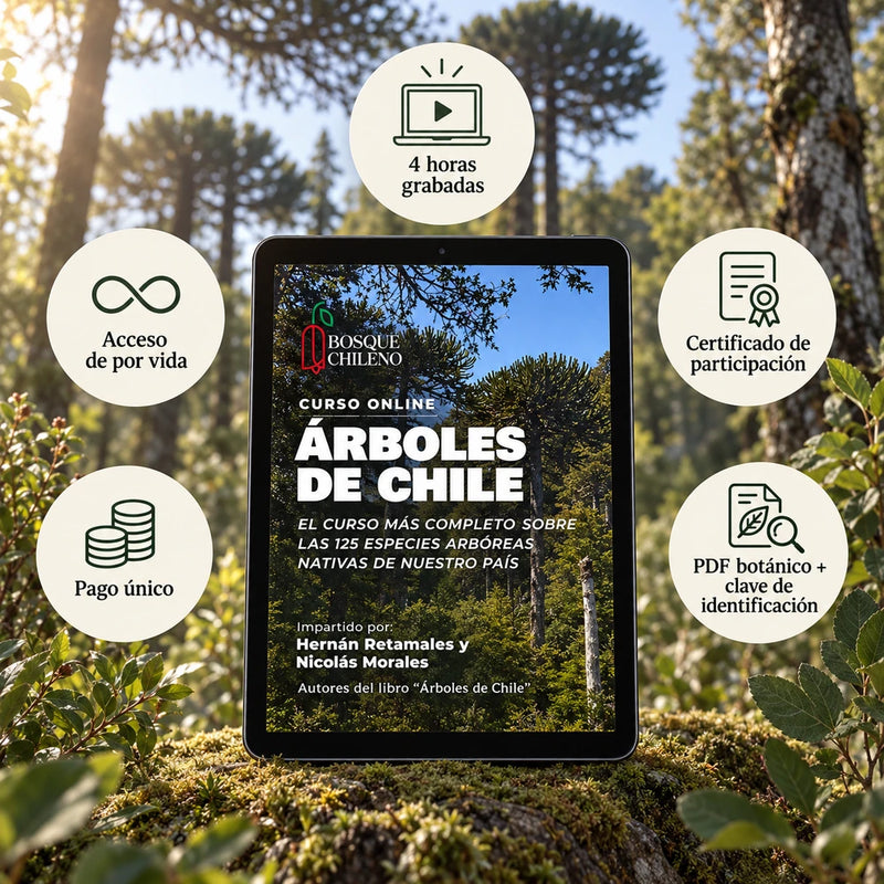 Curso digital: Árboles de Chile