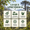 Curso digital: Árboles de Chile