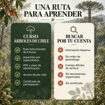 Curso digital: Árboles de Chile