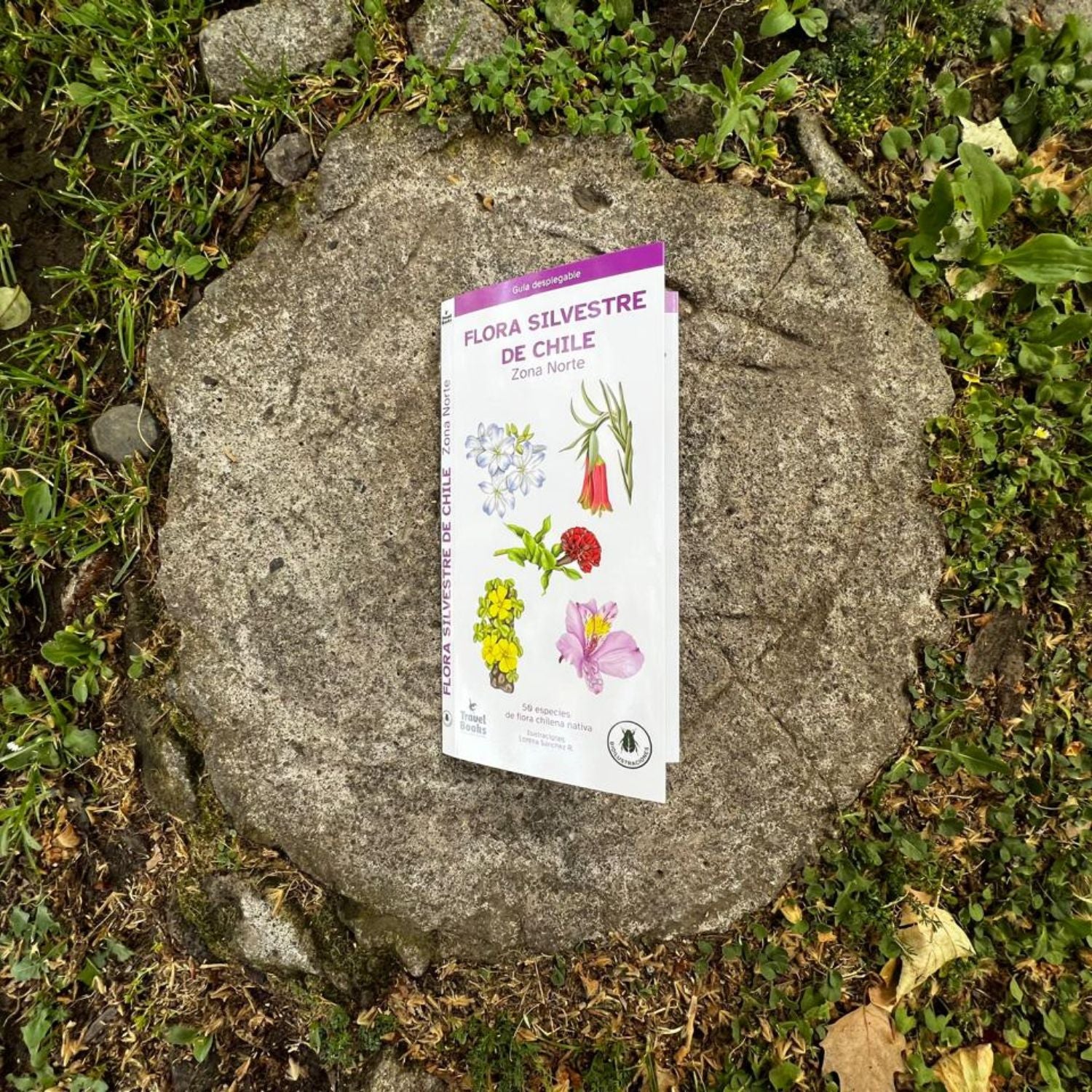 Guía de bolsillo - Flora silvestre de Chile zona norte