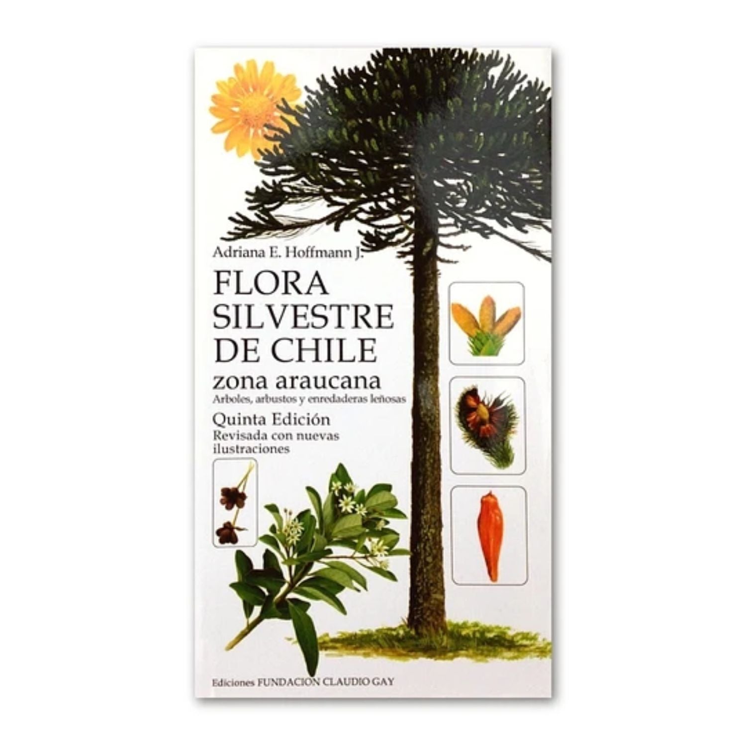Flora Silvestre de Chile Zona Araucana Quinta Edición