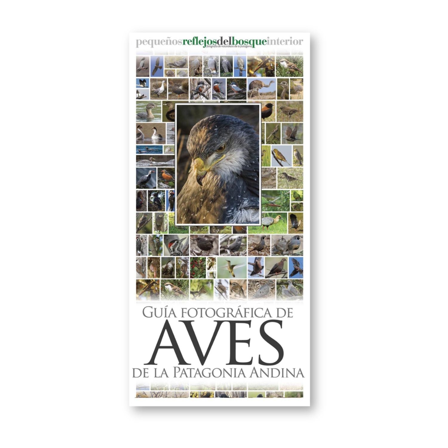 Guía fotográfica de aves de la Patagonia Andina