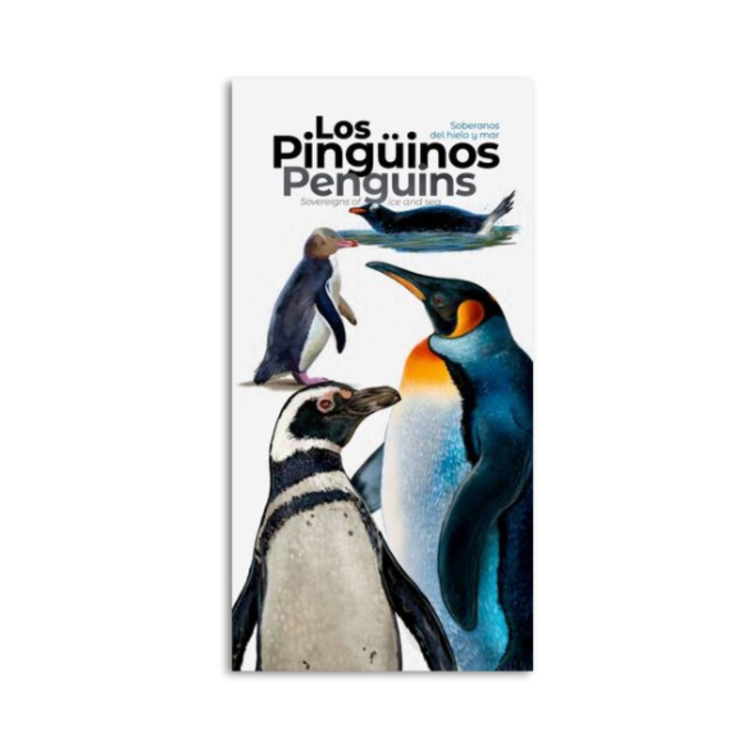 Los Pingüinos. Soberanos del hielo y mar