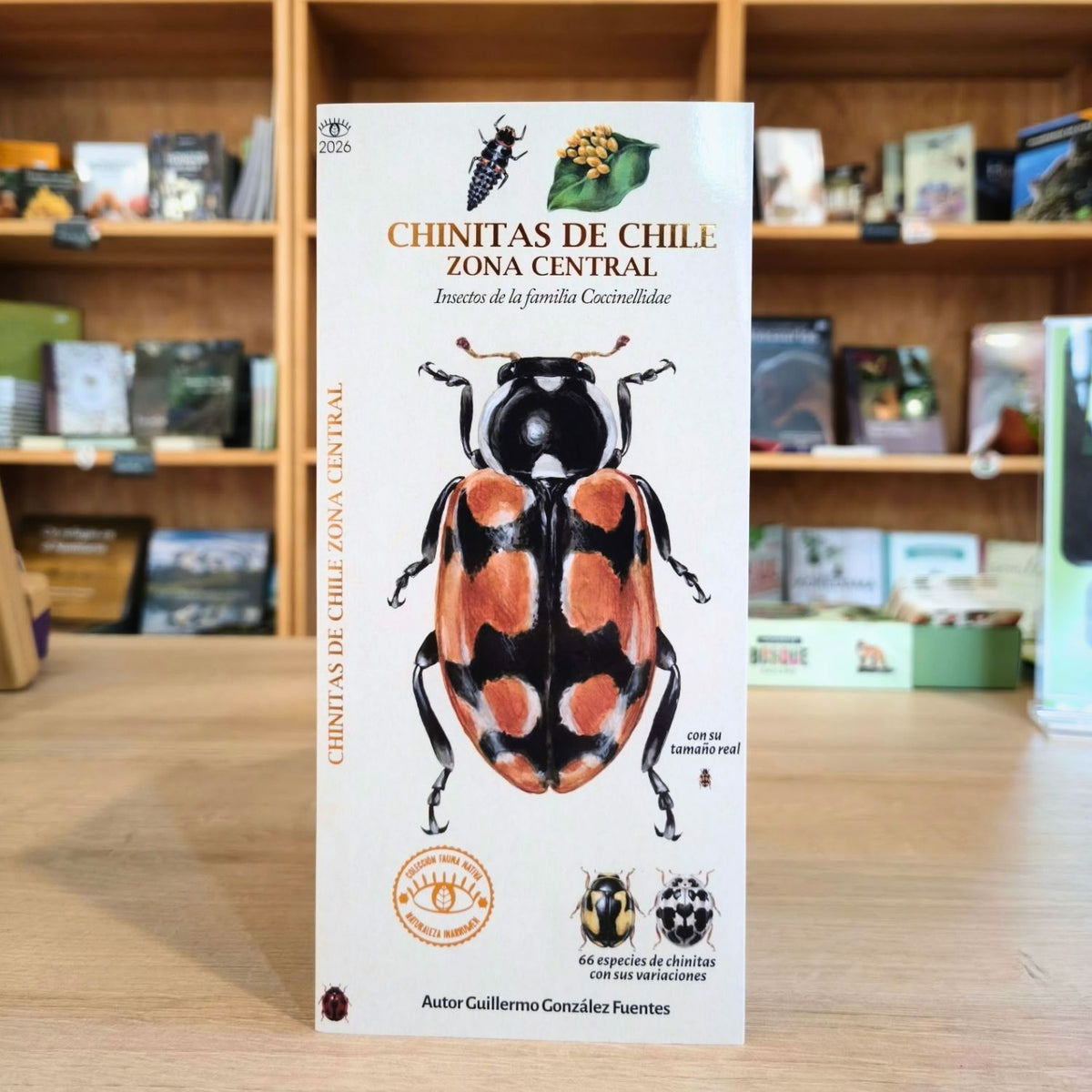 Guía de Bolsillo - Chinitas de Chile (Zona Central)