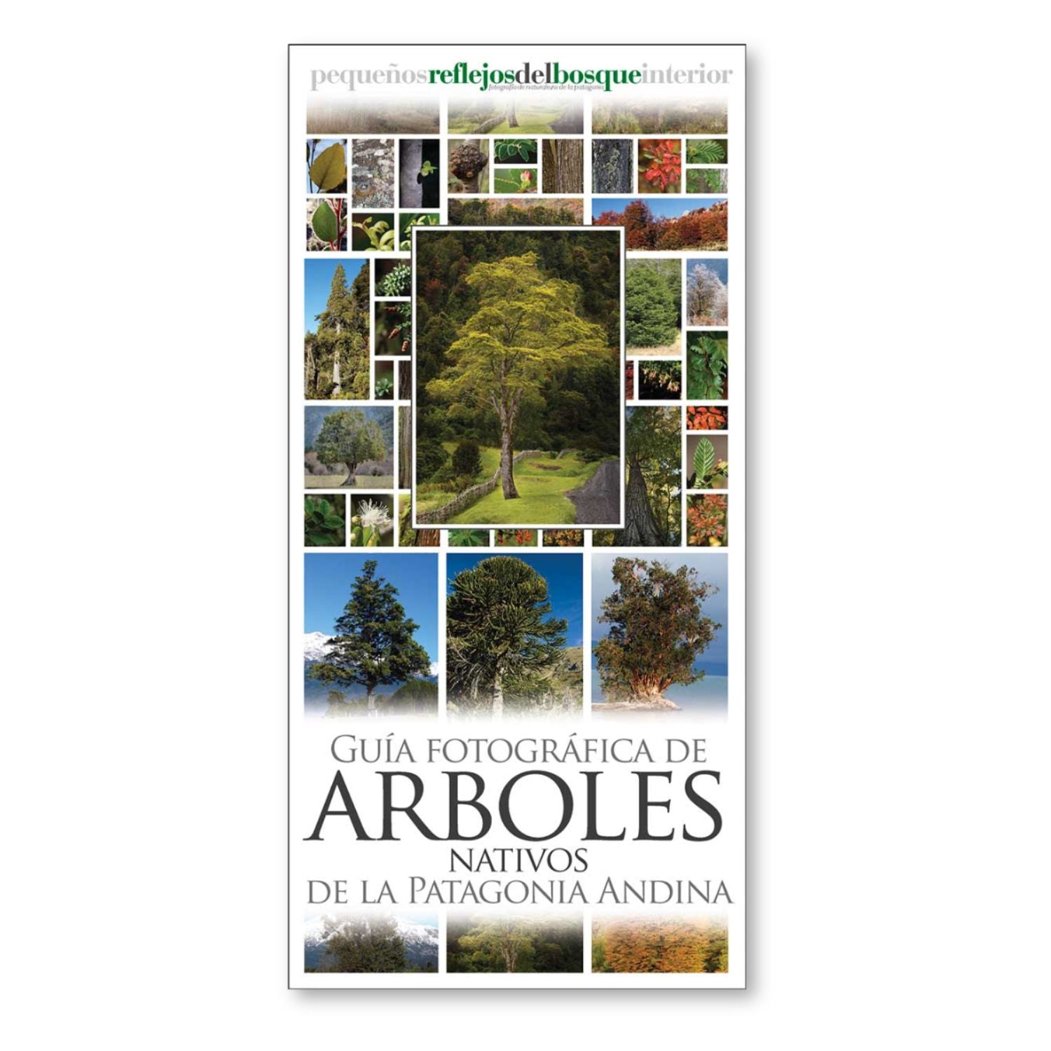 Guía fotográfica de árboles nativos de la Patagonia andina