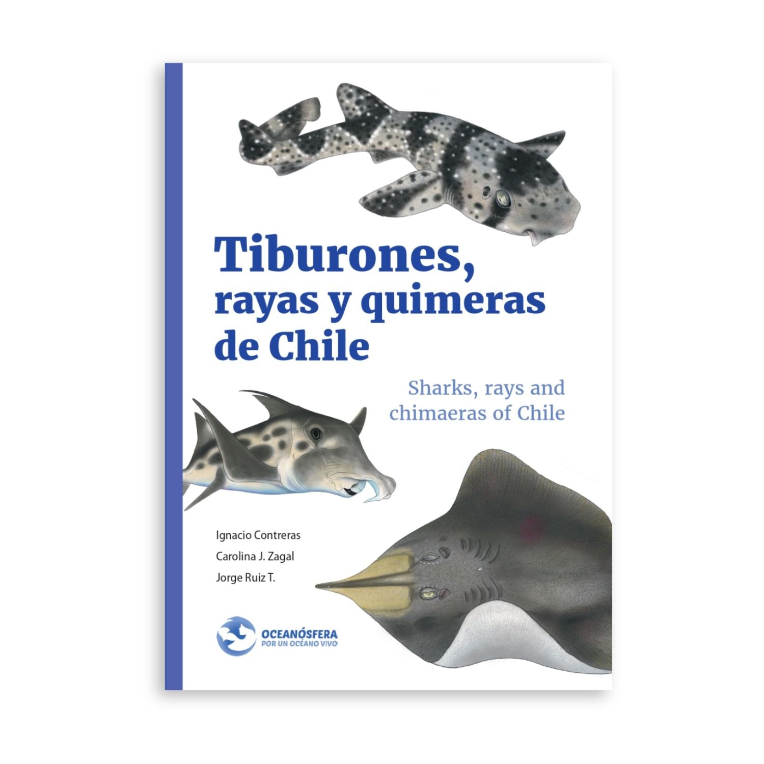Tiburones, rayas y quimeras de Chile