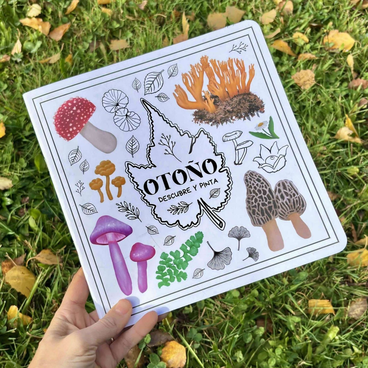 Libro de actividades: Otoño descubre y pinta