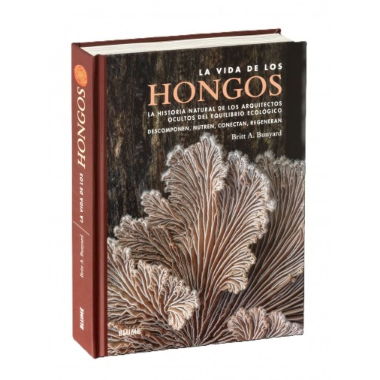 La vida de los hongos