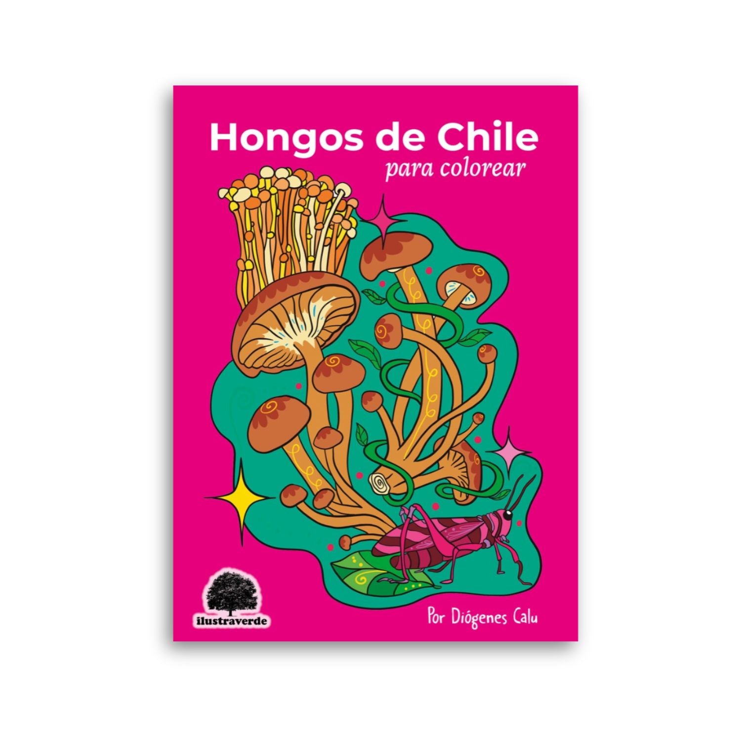 Hongos de Chile para Colorear