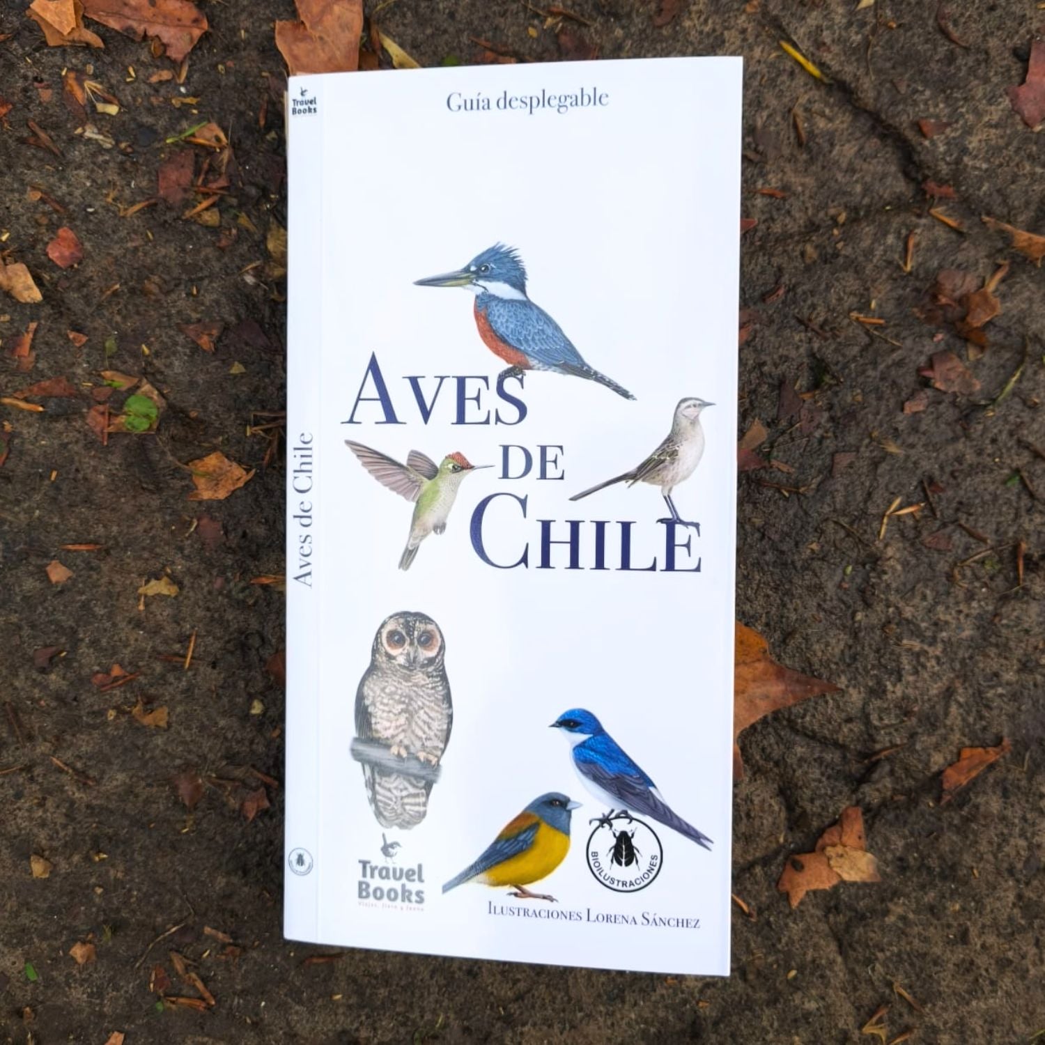 Guía de bolsillo - Aves de Chile (87 especies)