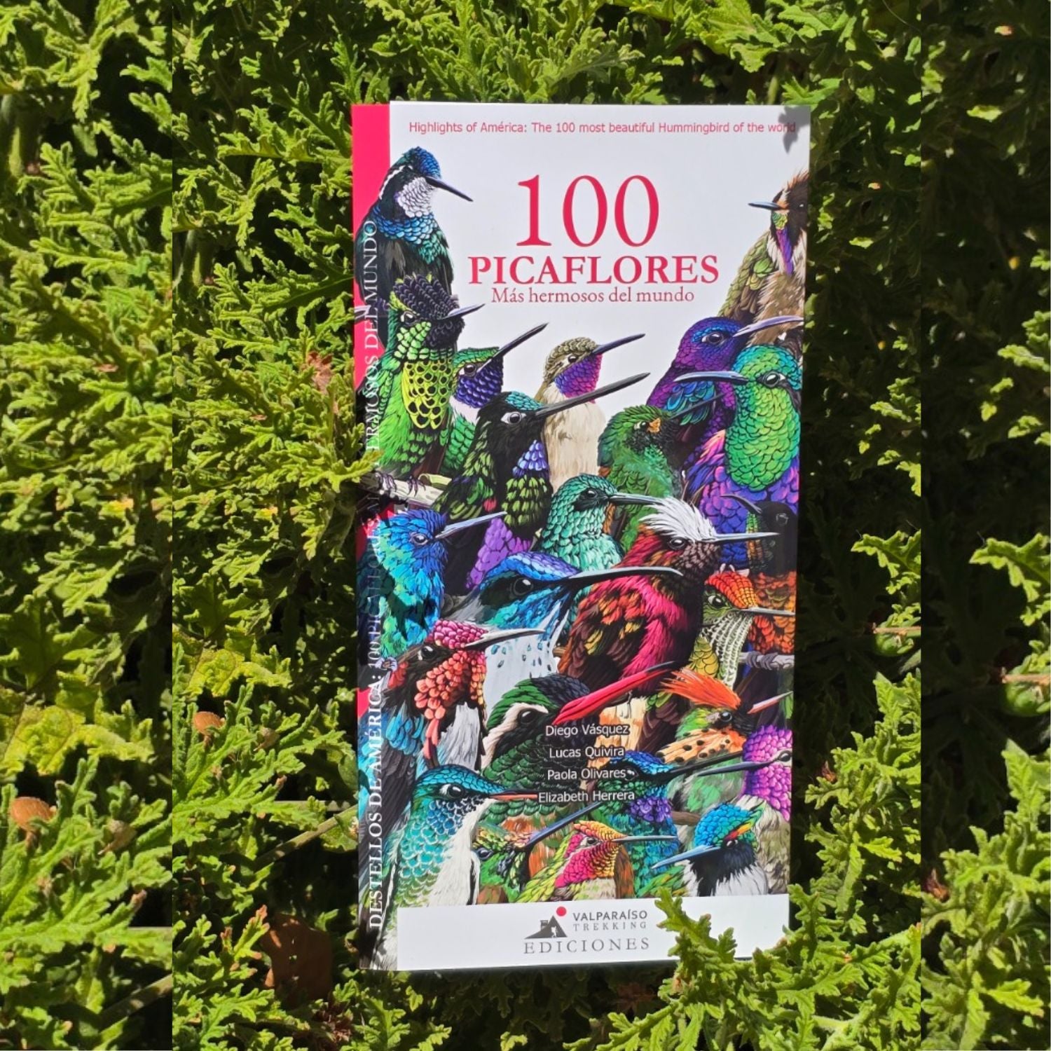 Guia de bolsillo - 100 picaflores más hermosos del mundo
