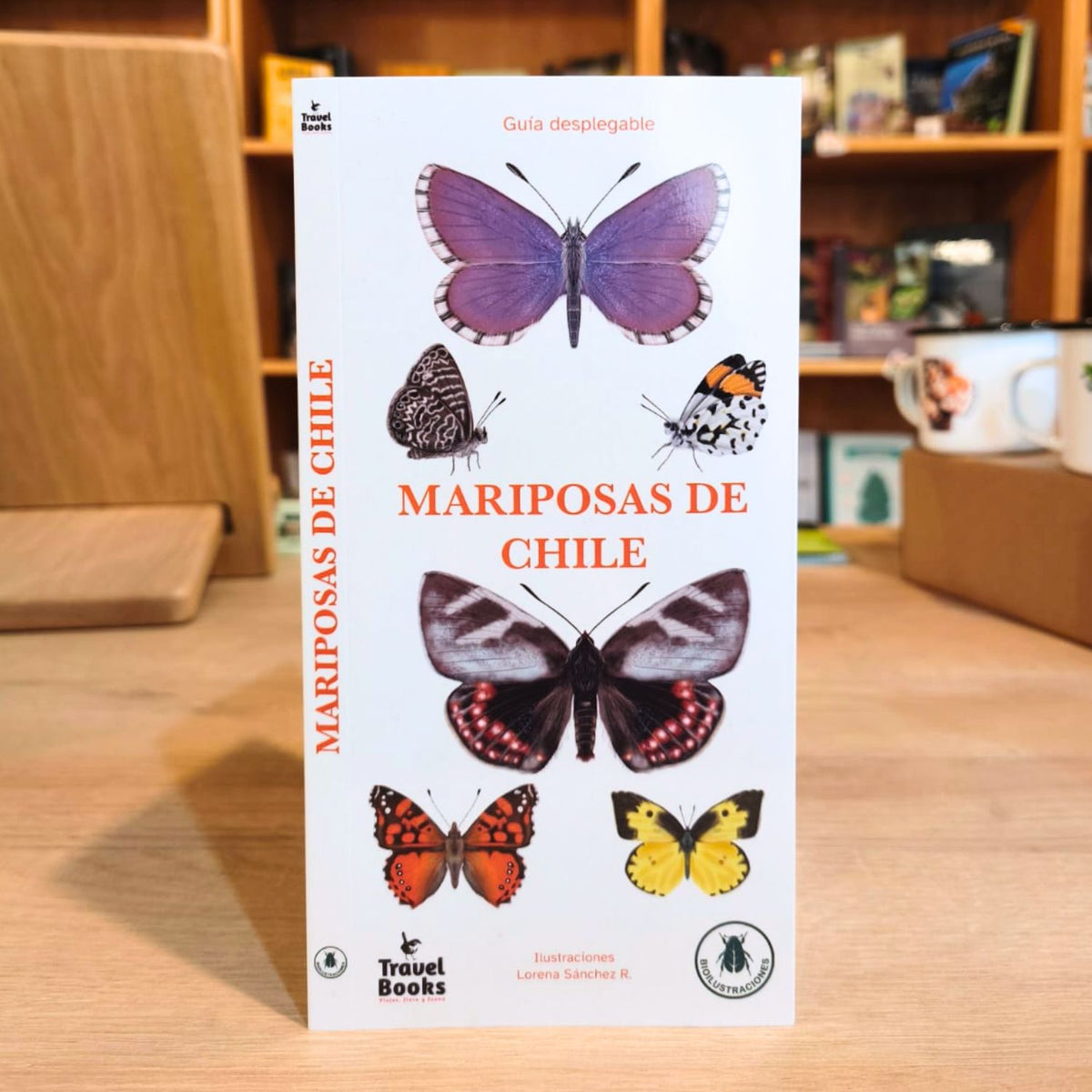 Guía de bolsillo - Mariposas de chile