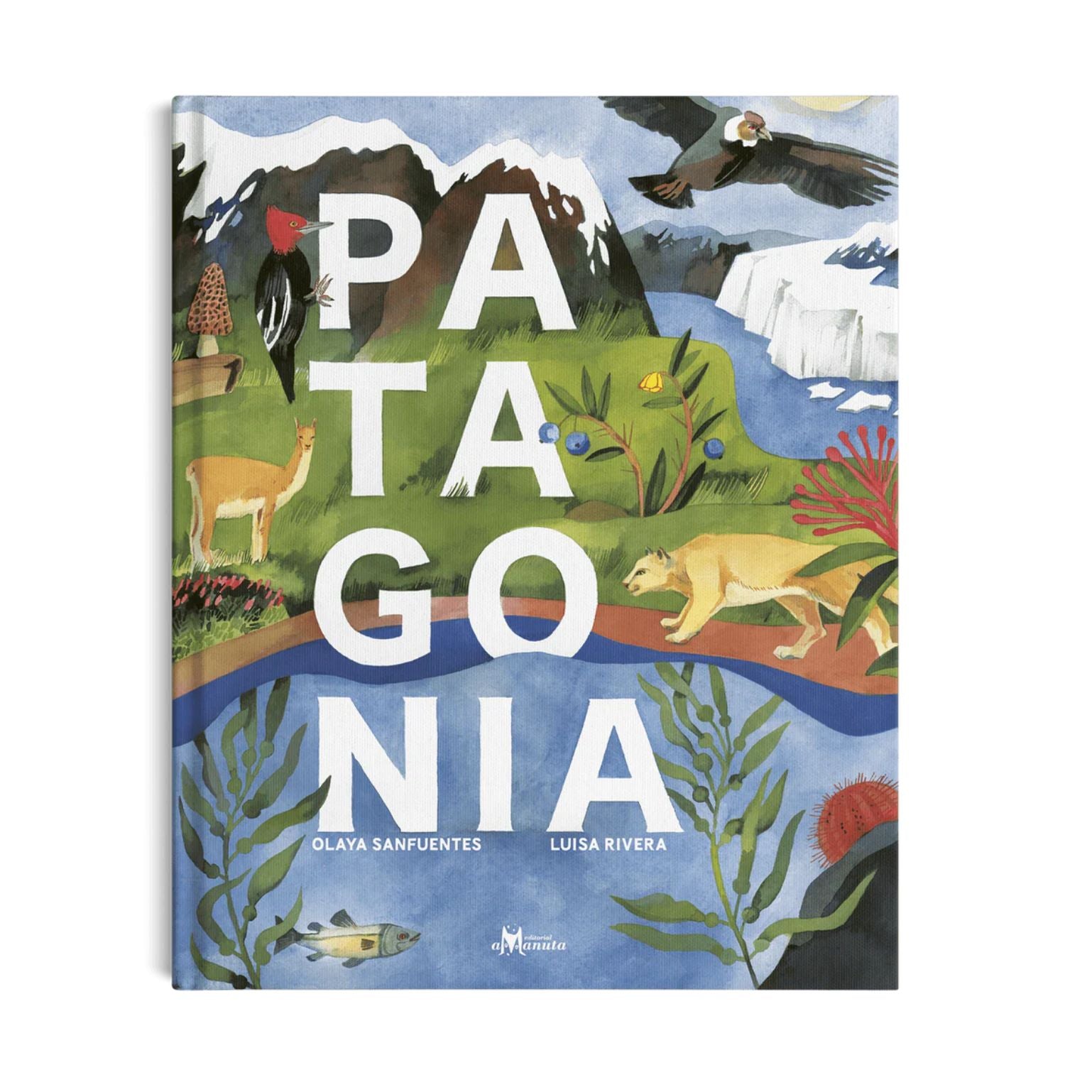 Patagonia