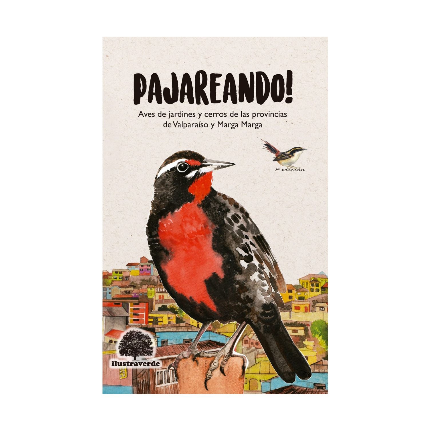 Pajareando! Aves de Jardines y Cerros de la Provincias de Valparaíso y Marga Marga