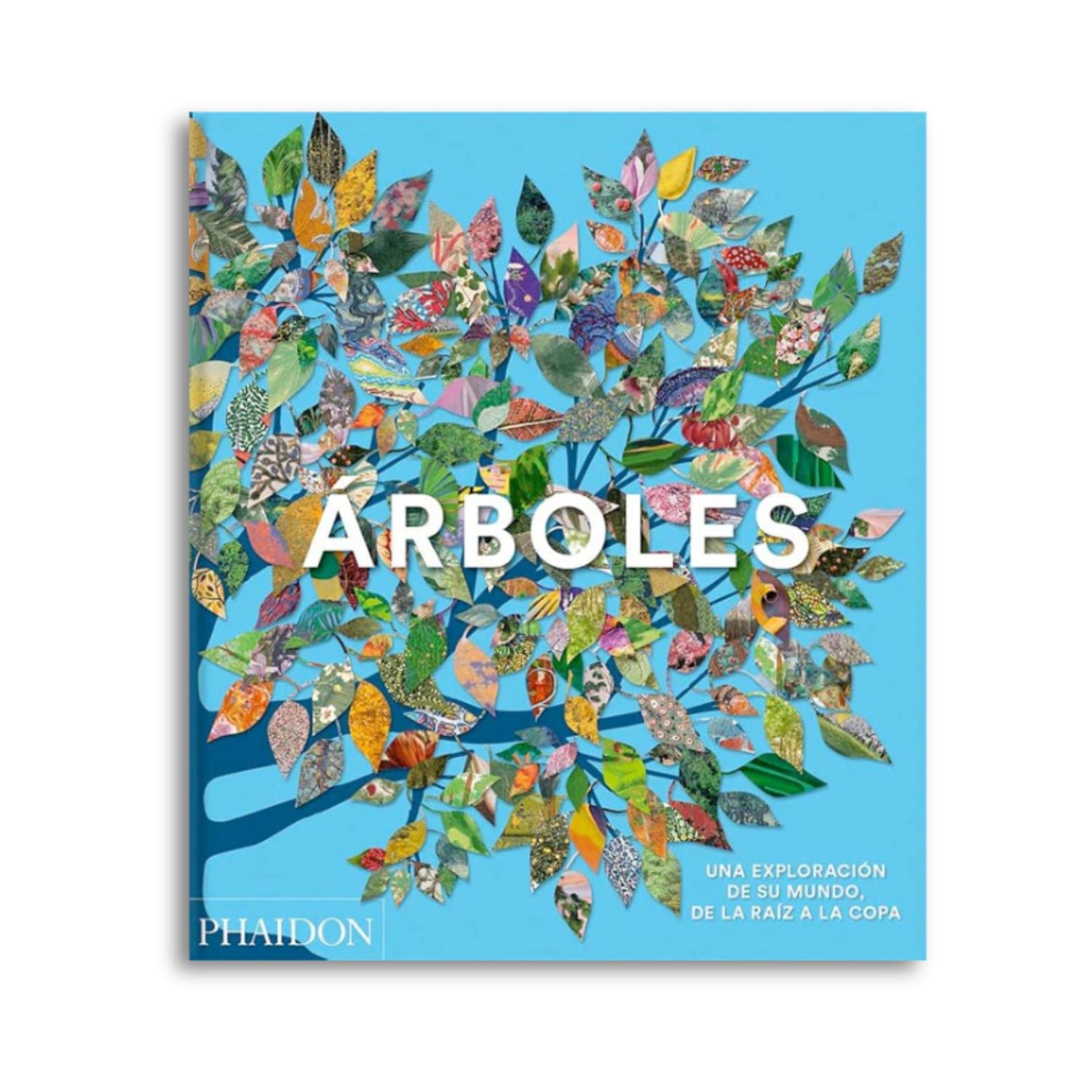 Árboles: una exploración de su mundo de la raíz a la copa