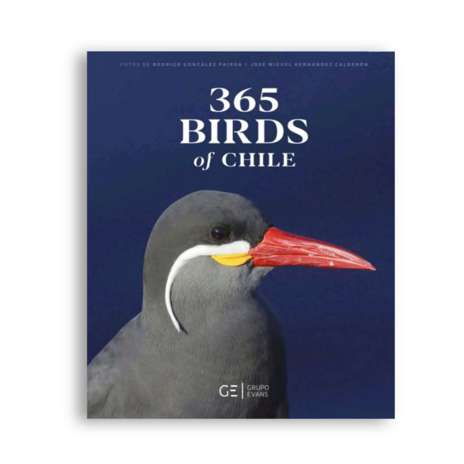 365 Birds of Chile